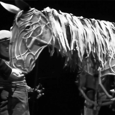 War Horse